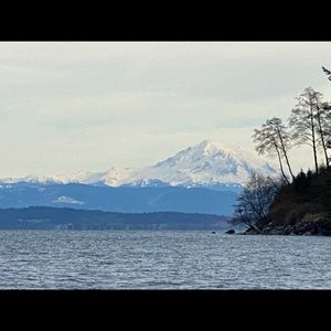 Meet your Posher, Josh